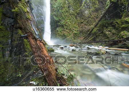 Stock Photography - Little Niagara Falls plunges into the creek below, Goldstream Provincial Park near Victoria, BC, Canada. Fotosearch