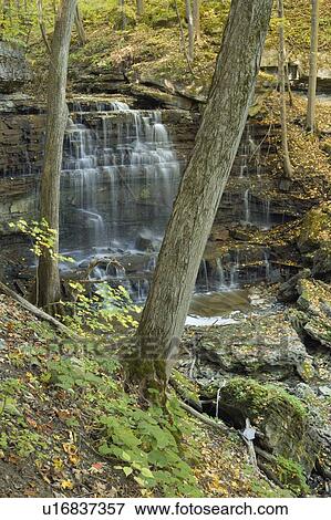 Stock Photo - Louth Falls - Niagara Peninsula, Ontario, Canada. Fotosearch