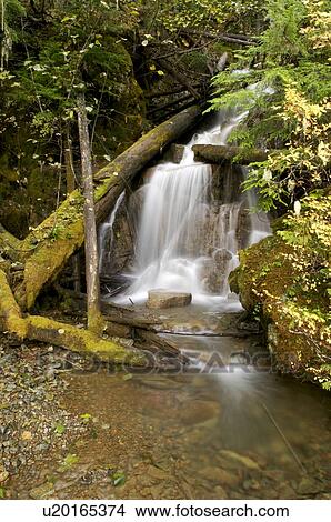 Soo Falls, BC, Canada View Large Photo Image Picture - Soo Falls, BC, Canada . Fotosearch