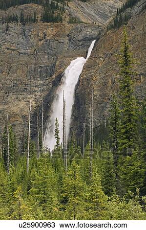 Takakkaw Falls, Yoho National Park, BC, Canada View Large Photo Image Stock Image - Takakkaw Falls, Yoho National Park, BC, Canada. Fotosearch