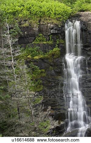 Waterfall on Sloan's Brook, Delap's Cove Wilderness Trail, Nova Scotia, Canada View Large Photo Image Stock Photo - Waterfall on Sloan's Brook, Delap's Cove Wilderness Trail, Nova Scotia, Canada. Fotosearch