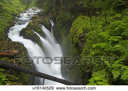 Stock Photo - Waterfall plunges into a canyon in an Old-Growth Rainforest, Sol Duc River, Olympic National Park, Washington, USA. Fotosearch