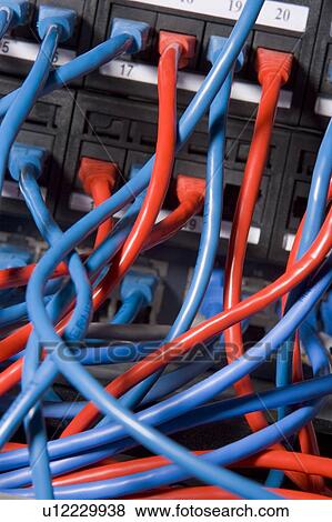 Stock Photo - Computer Cables Chaotically Plugged In To The Back Of A Server. Fotosearch