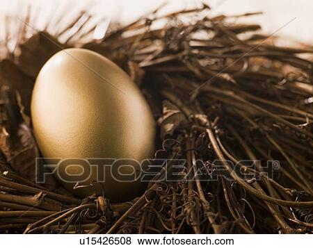 Golden Nest Egg View Large Photo Image Stock Photo - Golden Nest Egg. Fotosearch