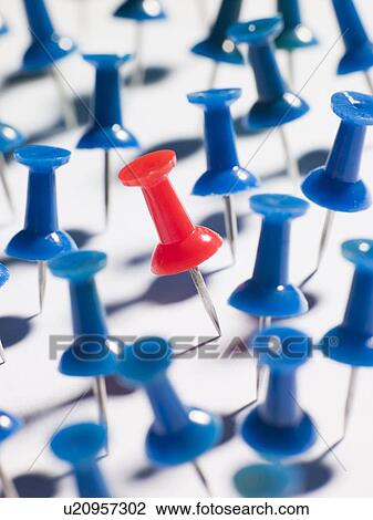 One Red Thumbtack Amid Blue Thumbtacks View Large Photo Image Stock Image - One Red Thumbtack Amid Blue Thumbtacks. Fotosearch