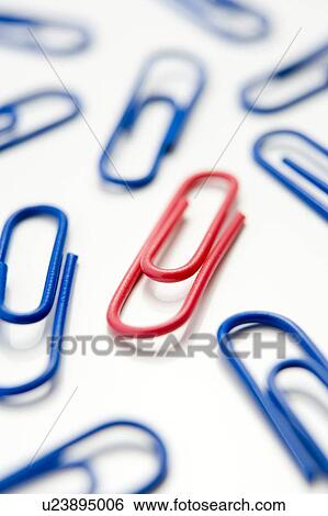 Studio Shot Of One Red Paperclip Amid Blue Paperclips View Large Photo Image Stock Photograph - Studio Shot Of One Red Paperclip Amid Blue Paperclips. Fotosearch