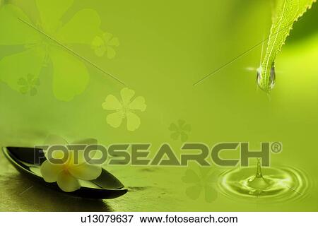 A frangipani flower on a plate and a drip from a green leaf (composite) View Large Illustration Stock Illustration - A frangipani flower on a plate and a drip from a green leaf (composite). Fotosearch