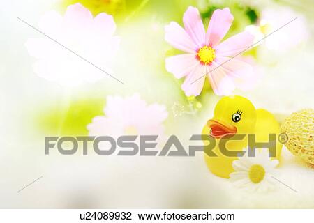 A yellow rubber duck among white flowers (composite) View Large Illustration Drawing - A yellow rubber duck among white flowers (composite). Fotosearch