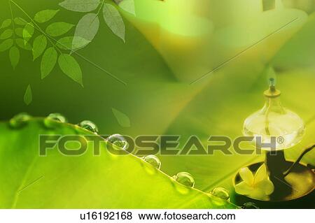 An aromatherapy burner and drips on leaf in background (composite) View Large Illustration Stock Illustration - An aromatherapy burner and drips on leaf in background (composite). Fotosearch
