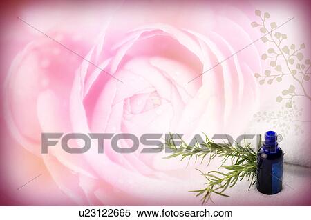 Aromatherapy oil and green leaf with a flower in background (composite) View Large Illustration Stock Illustration - Aromatherapy oil and green leaf with a flower in background (composite). Fotosearch