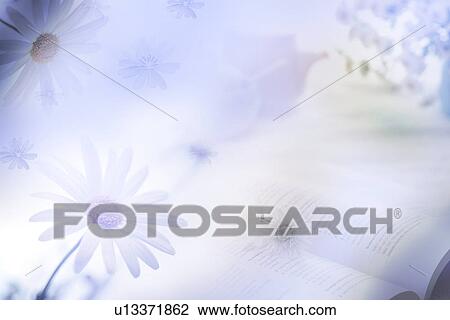 Drawing - Flowers and a book (composite). Fotosearch