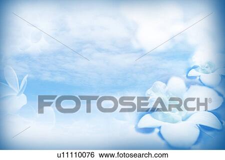 Stock Illustration - Flowers in water with clear sky and cloud in background (composite). Fotosearch