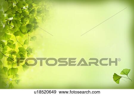 Green leaves in background (composite) View Large Illustration Stock Illustration - Green leaves in background (composite). Fotosearch