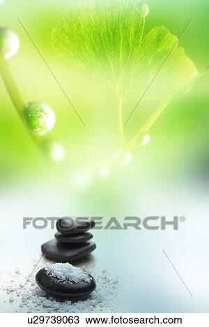 Stones and bath salt and green leaves(composite) View Large Illustration Drawing - Stones and bath salt and green leaves(composite). Fotosearch