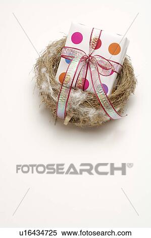 Close-up of a wrapped present in the nest View Large Photo Image Stock Photography - Close-up of a wrapped present in the nest. Fotosearch