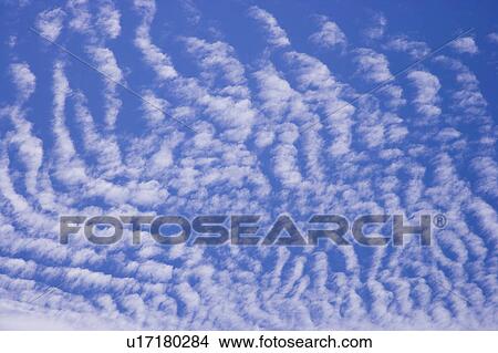 Picture - Cirrus in the clear sky. Fotosearch