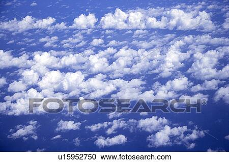 Cirrus in the clear sky View Large Photo Image Stock Image - Cirrus in the clear sky. Fotosearch