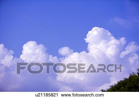 Cumulus cloud in the clear sky View Large Photo Image Stock Image - Cumulus cloud in the clear sky. Fotosearch