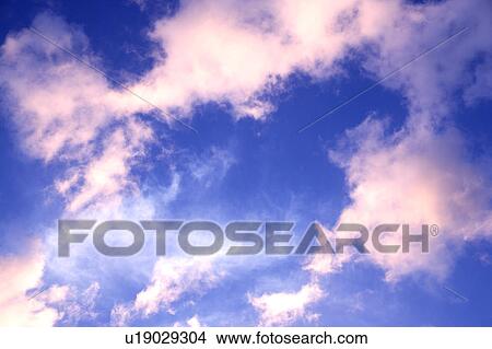 Pink clouds in the clear sky View Large Photo Image Picture - Pink clouds in the clear sky. Fotosearch