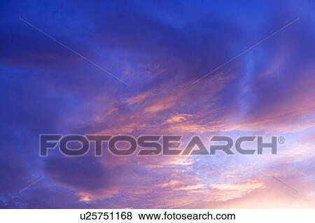 Pink clouds in the clear sky View Large Photo Image Stock Photo - Pink clouds in the clear sky. Fotosearch