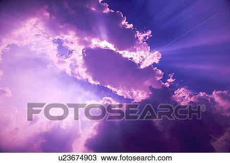 Pink clouds in the sky View Large Photo Image Stock Image - Pink clouds in the sky. Fotosearch