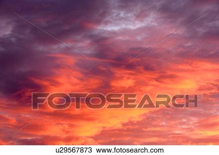 Pink clouds in the sky View Large Photo Image Stock Image - Pink clouds in the sky. Fotosearch