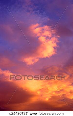 Stock Photo - Pink clouds in the sky. Fotosearch