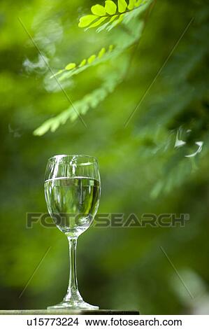 Close-up of a glass of water View Large Photo Image Picture - Close-up of a glass of water . Fotosearch