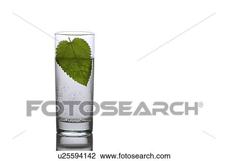 Close-up of a leaf in a glass of water View Large Photo Image Stock Image - Close-up of a leaf in a glass of water. Fotosearch