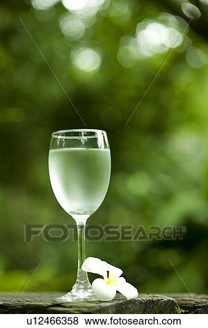 Close-up of a wineglass of water and a flower View Large Photo Image Stock Photo - Close-up of a wineglass of water and a flower. Fotosearch