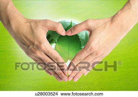 Stock Illustration - Two hands making heart shape on a leaf. Fotosearch