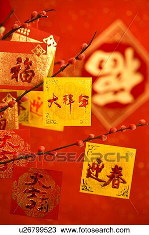 Close-up of cards for decorations hanging on the tree View Large Photo Image Stock Image - Close-up of cards for decorations hanging on the tree. Fotosearch