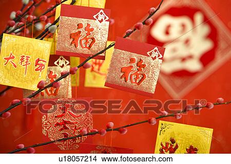 Close-up of Chinese New Year decorations on the plum tree View Large Photo Image Picture - Close-up of Chinese New Year decorations on the plum tree. Fotosearch