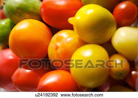 Colorful piles of fresh produce View Large Photo Image Stock Image - Colorful piles of fresh produce. Fotosearch
