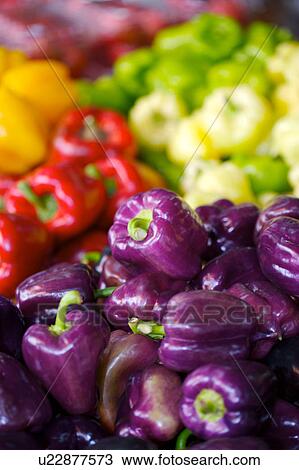 Multi-colored peppers, full frame View Large Photo Image Stock Image - Multi-colored peppers, full frame. Fotosearch