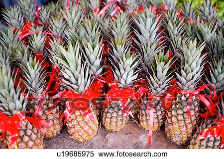Stock Photography - Pineapples. Fotosearch