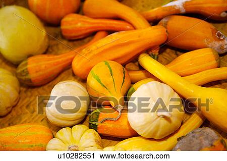 Stock Image - Pumpkins in all kinds. Fotosearch