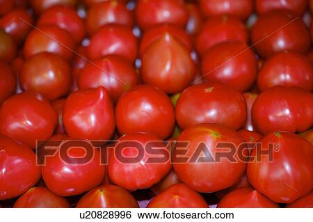 Tomatoes, full frame View Large Photo Image Stock Photograph - Tomatoes, full frame. Fotosearch