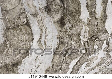 Stock Photo - Gray and White Marble. Fotosearch