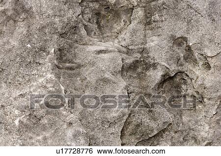 Stock Photograph - Gray and White Marble. Fotosearch