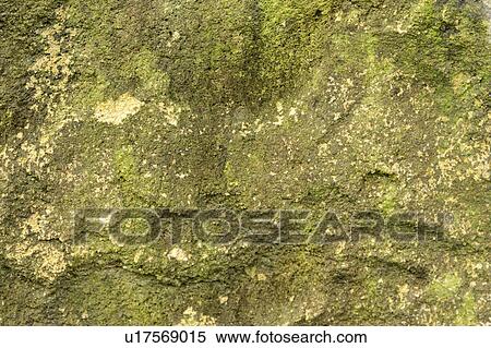 Stock Photography - Green Stone. Fotosearch
