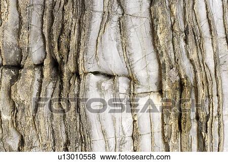 Stock Photo - Marble Pattern. Fotosearch