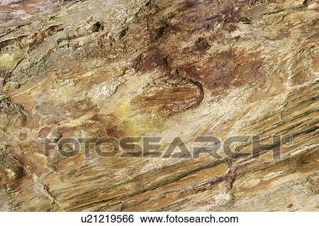 Stock Photograph - Marble. Fotosearch