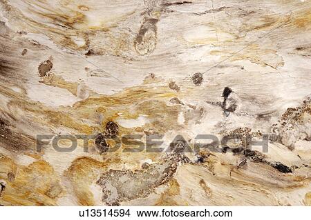 Picture - Marble Surface. Fotosearch
