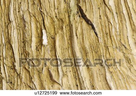 Rock Surface View Large Photo Image Stock Photo - Rock Surface. Fotosearch