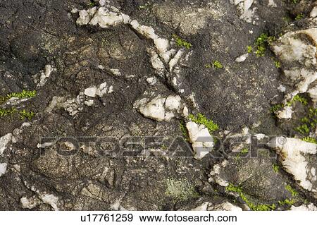 Rock Surface View Large Photo Image Stock Photo - Rock Surface. Fotosearch