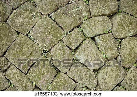 Stock Image - Stone Street. Fotosearch
