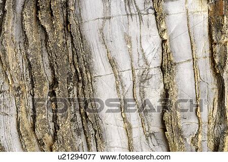 Stock Photo - Stone Surface, close-up. Fotosearch