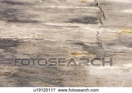 Stock Photo - Stone Surface. Fotosearch