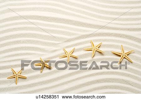 Stock Image - One unstraight row of starfishes. Fotosearch